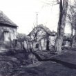Vino�sk� ulice s ka�tanovou alej�