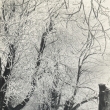 Katanov alej v zim r. 1958