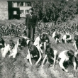 �koln� zahrada