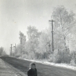 Budovatelsk� ul. v zim� roku 1959