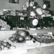 V�stava v r.1966