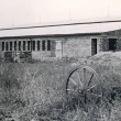 Stavba nového kravína v r.1964 (U cihelny)